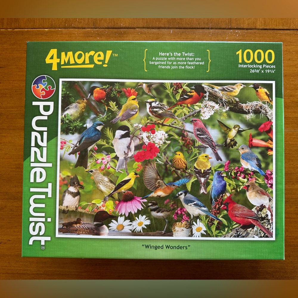 🧩Puzzle Twist Jigsaw Puzzle 1000